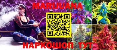 mdpv Ачхой-Мартан