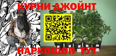 молекула духа Баксан