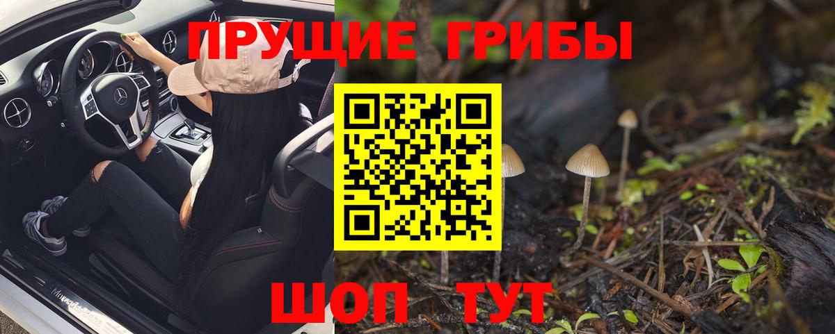 Псилоцибиновые грибы Cubensis Белогорск