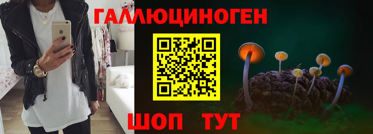 Псилоцибиновые грибы мухоморы  Вход с VPN  Белогорск  Псилоцибиновые грибы GOLDEN TEACHER 